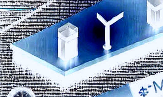 Luno cắt giảm 20% nhân sự: Tín hiệu từ DCG hay bước ngoặt chiến lược?